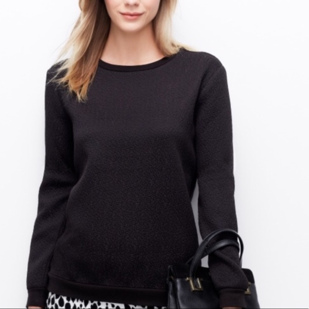 Ann Taylor Black Jacquard Back Zip Sweatshirt